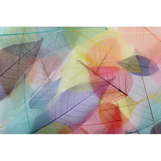 Samolepiaca tapeta priehľadné farebné listy