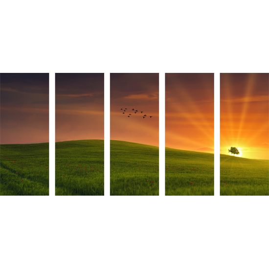 5-dielny obraz strom blokojúci západ slnka