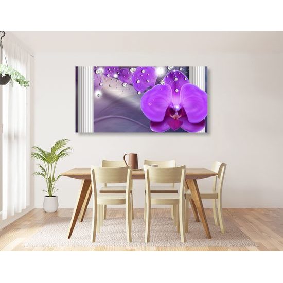 Obraz luxusná orchidea