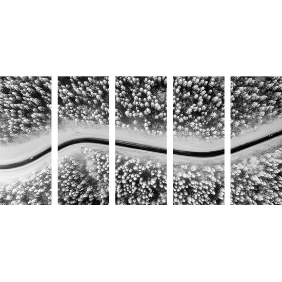 5-dielny obraz cesta cez zasnežený les v čiernobielom prevedení