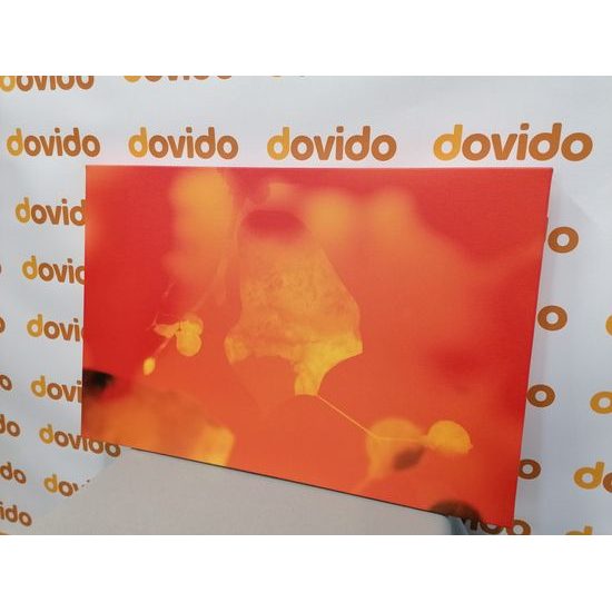 Obraz list lipy s ohnivým pozadím