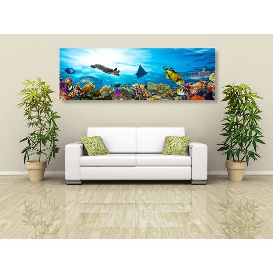 Obraz morský svet plný života