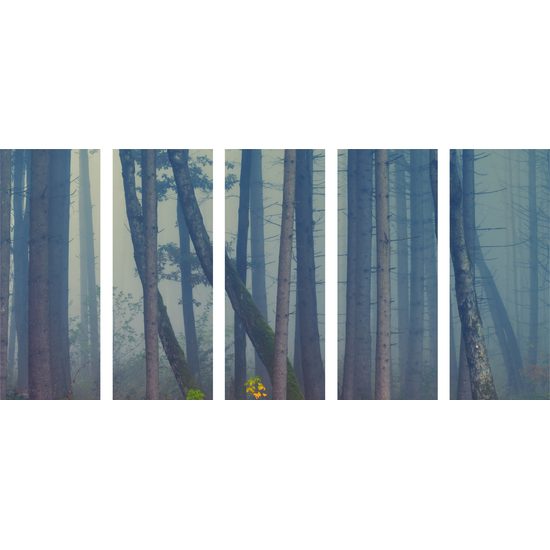 5-dielny obraz les zaliaty hmlou