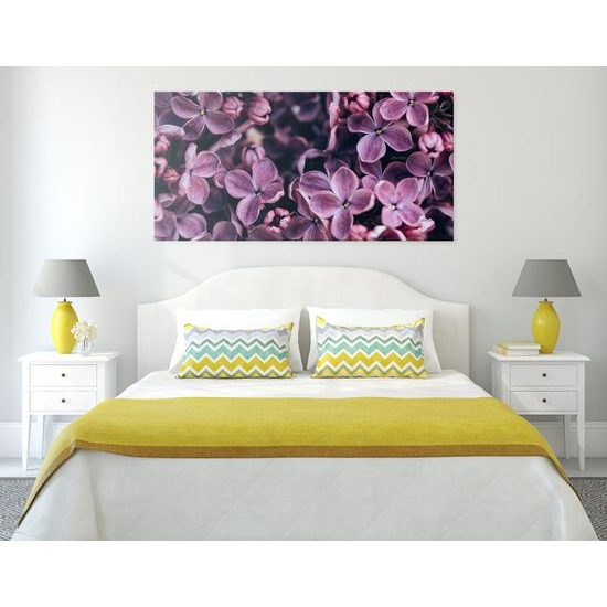 Obraz zaujímavé kvety vo vintage prevedení