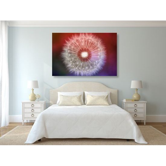 Obraz púpava v nádherných farbách