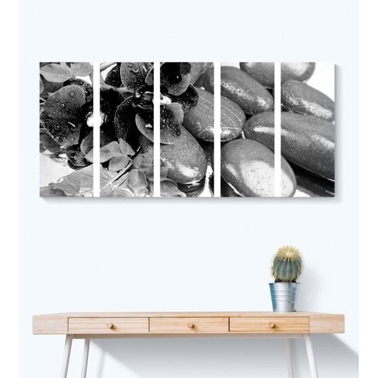 5-dielny obraz wellness zátišie a kvet orchidey v čiernobielom prevedení