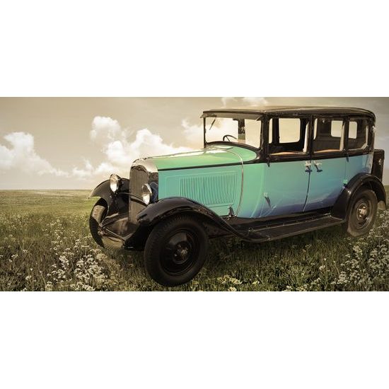 Obraz nádherný veterán