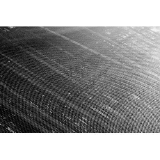 Obraz slnko vykúkajúce pomedzi stromy v čiernobielom prevedení