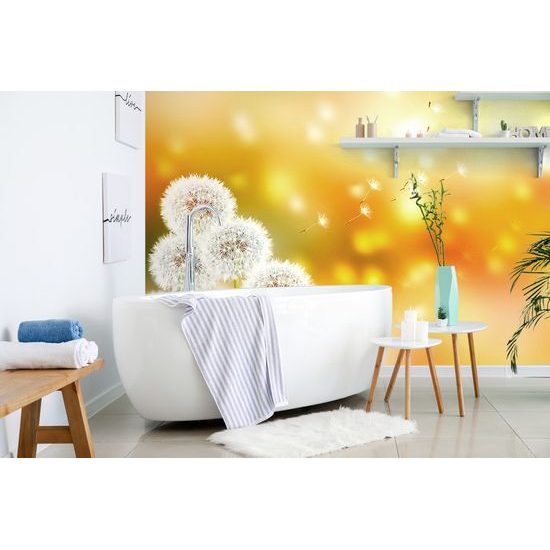 Samolepiaca tapeta nadýchané klobúčiky púpavy