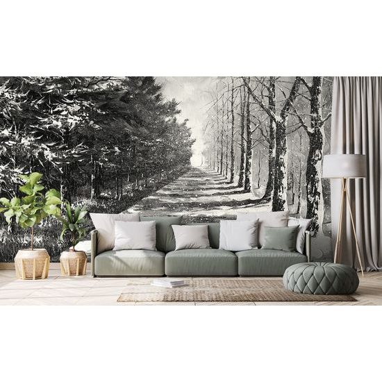 Samolepiaca tapeta čiernobiela alej stromov na prelome ročných období
