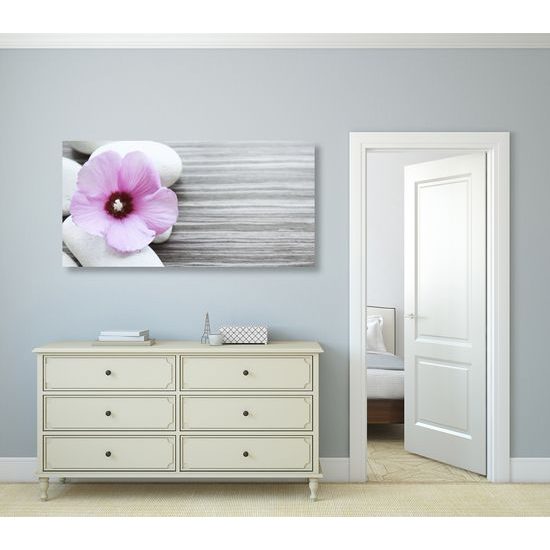 Obraz nádherný kontrast medzi kvetom a kameňmi