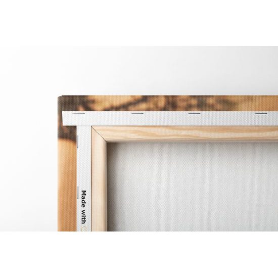 Obraz nádherná antilopa v africkej savane