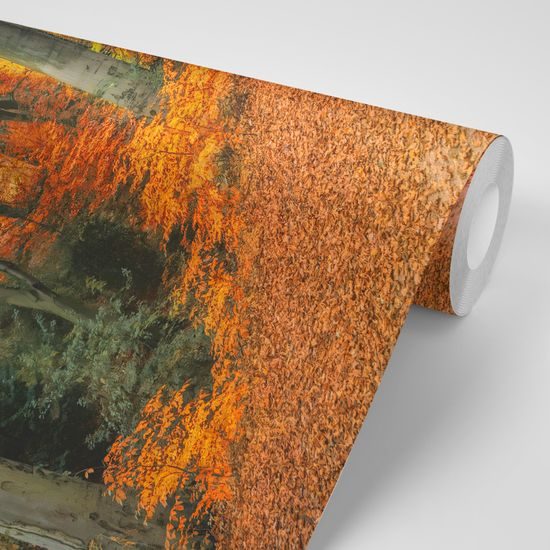 Samolepiaca fototapeta les vo farbách jesene