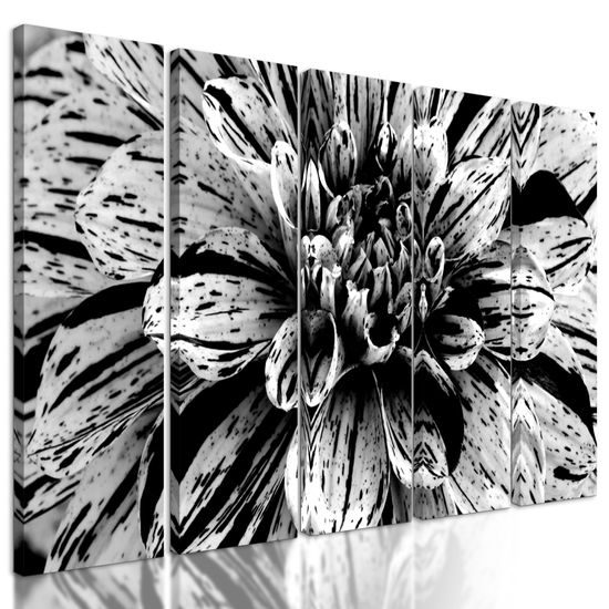 5-dielny obraz ohromná dália v čiernobielom prevedení