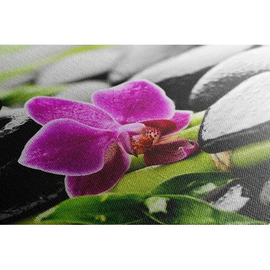 Obraz wellnes zátišie po daždi s nádhernou orchideou