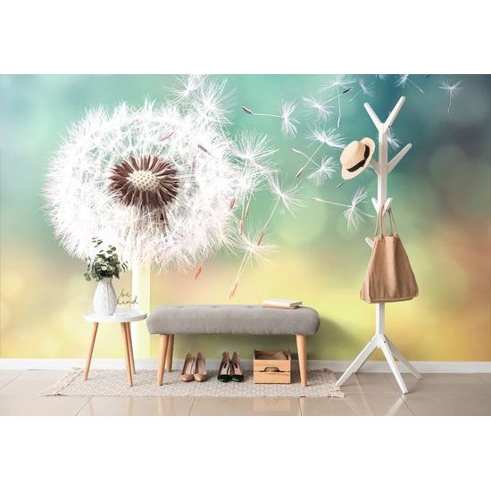 Samolepiaca fototapeta dotyk púpavy s vetrom