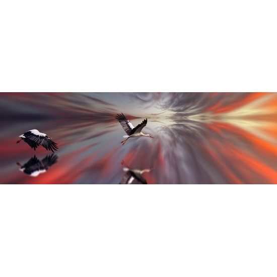 Obraz bociany v umeleckom prevedení