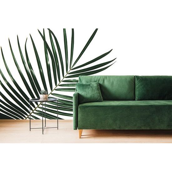 Samolepiaca fototapeta minimalistický list palmy