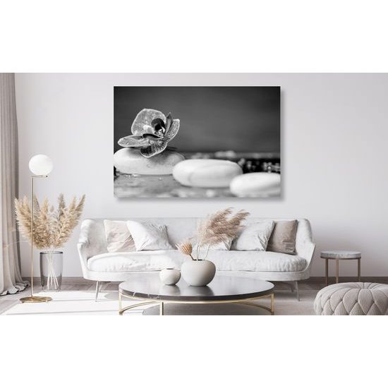 Obraz zaujímavé biele Zen kamene v čiernobielom prevedení