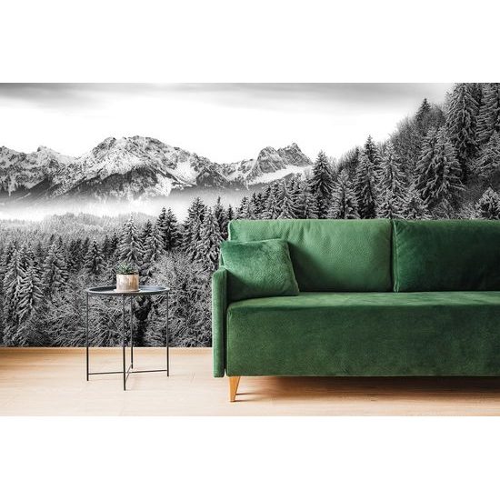 Samolepiaca fototapeta zasnežená krajina v čiernobielom prevedení