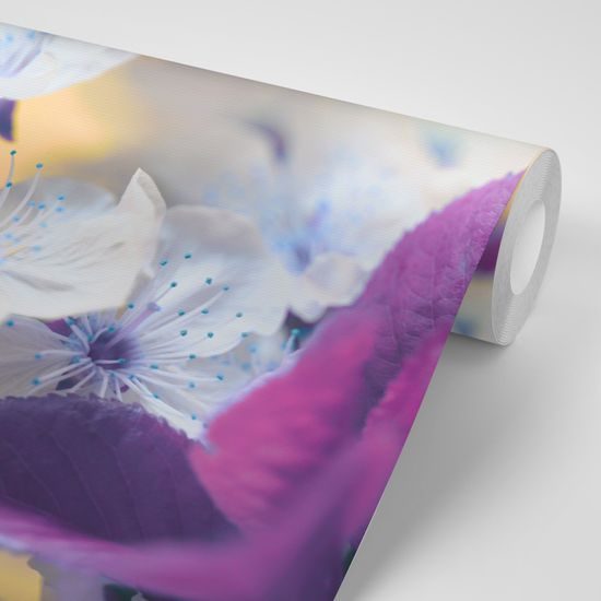 Fototapeta pôvabná vetvička čerešne plná kvetov