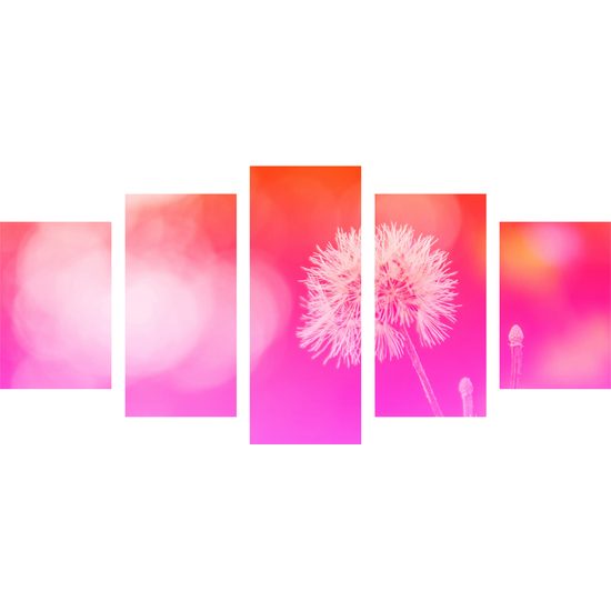 5-dielny obraz púpava v ružovo bielych farbách