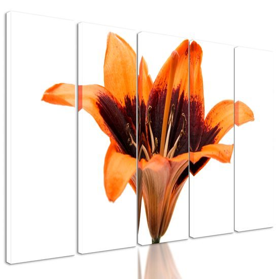 5-dielny obraz nevšedná ľalia