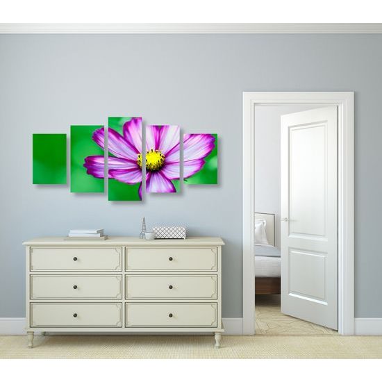 5-dielny obraz jedinečný kvet krasuľky