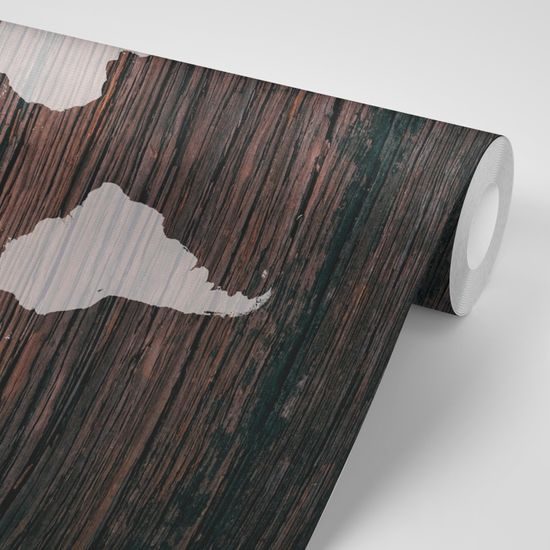 Tapeta mapa sveta v modernom prevedení