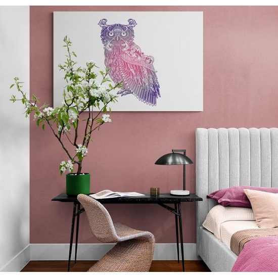 Obraz zaujímavá farebná sova