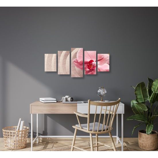 5-dielny obraz ružová orchidea v Zen zátiší