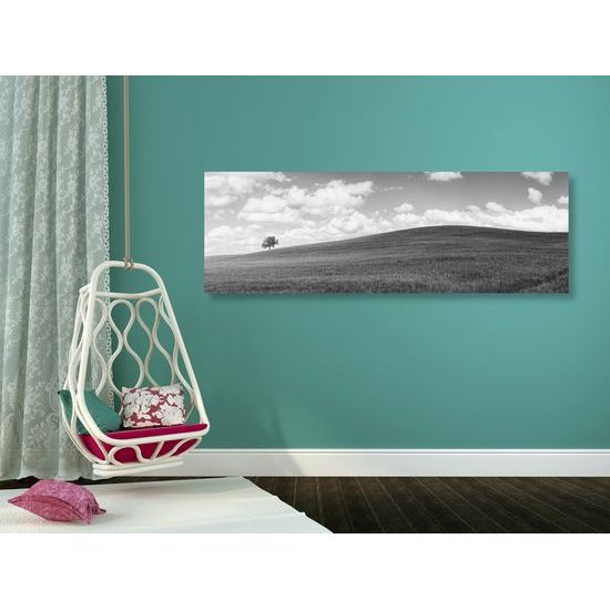 Obraz slnečný deň na lúke v čiernobielom prevedení