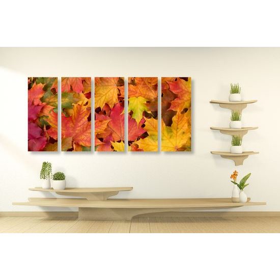 5-dielny obraz jesenné javorové listy