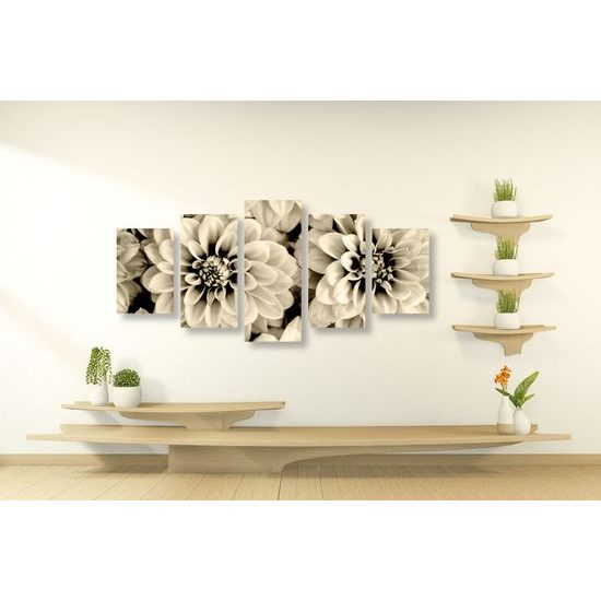 5-dielny obraz jemné rozkvitnuté dálie v sépiovom prevedení