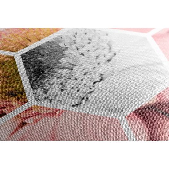 Obraz abstraktné stvárnenie gerbery