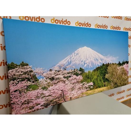 Obraz nádherná Japonská sopka Fuji