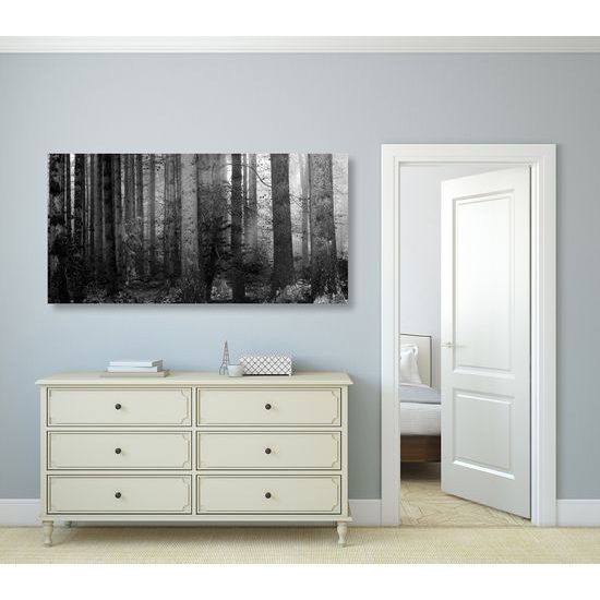 Obraz magický les v čiernobielom prevedení
