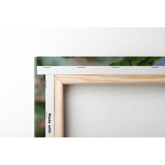 Obraz nádherné ružové lekno