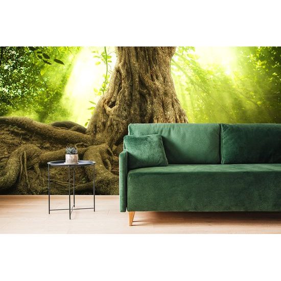 Samolepiaca tapeta mohutné korene stromu