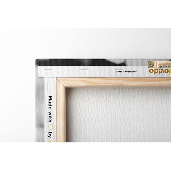 Obraz pôvabné ruže v čiernobielom prevedení