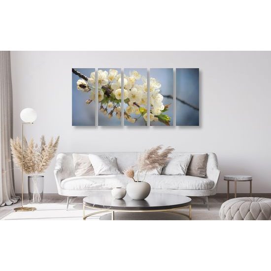 5-dielny obraz krásna čerešňa v rozkvete