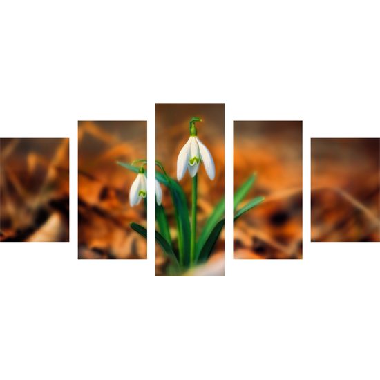 5-dielny obraz prvé snežienky