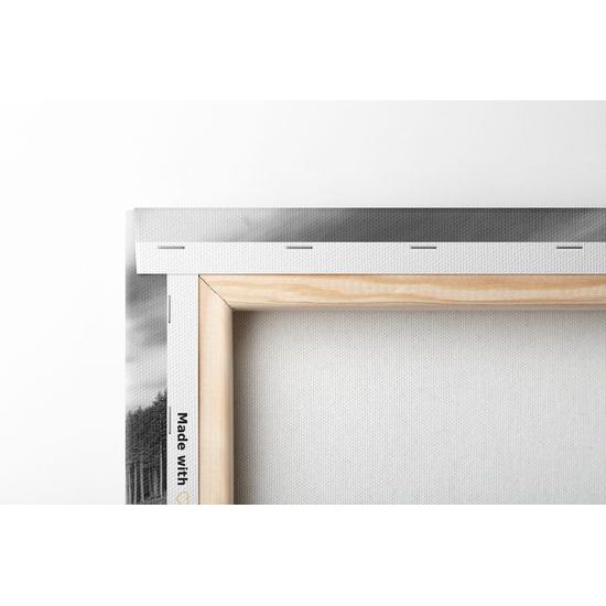 Obraz jazero medzi horami v čiernobielom prevedení