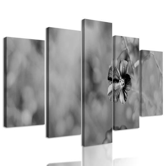 5-dielny obraz jarný kvietok v čiernobielom prevedení