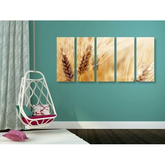 5-dielny obraz detail pšenice