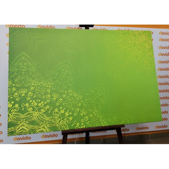 Obraz prírodná Mandala