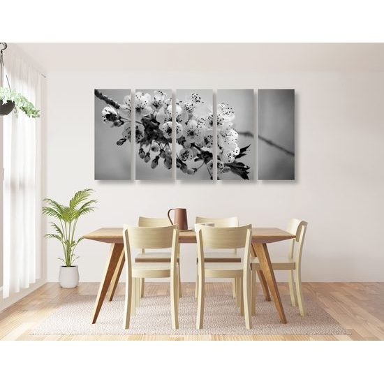 5-dielny obraz krásna čerešňa v rozkvete v čiernobielom prevedení