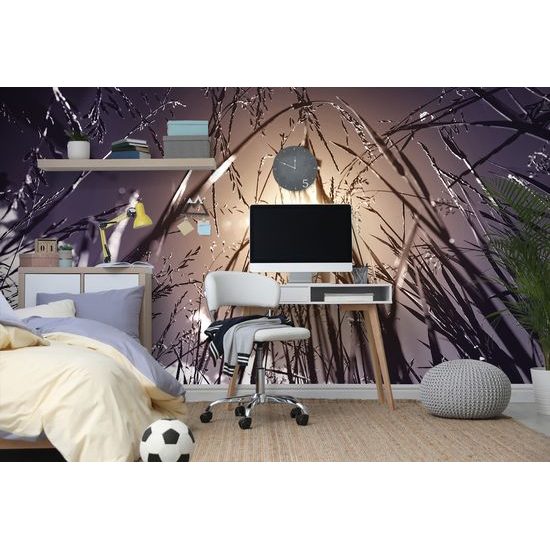 Samolepiaca fototapeta pohľad na slnko z poľnej trávy