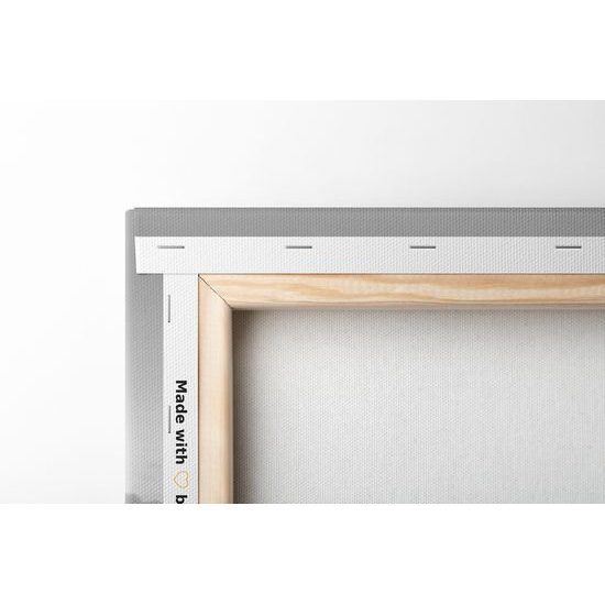 Obraz osamelý dom pri jazere v čiernobielom prevedení