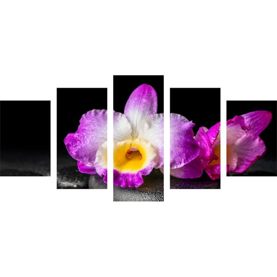 5-dielny obraz krásny kvet orchidei